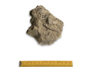 F 00026 01
          <br/>
          
          <br/>
          <em></em>